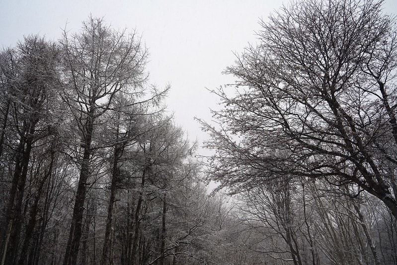 20251102-x7zyd 20251102-x7zyd