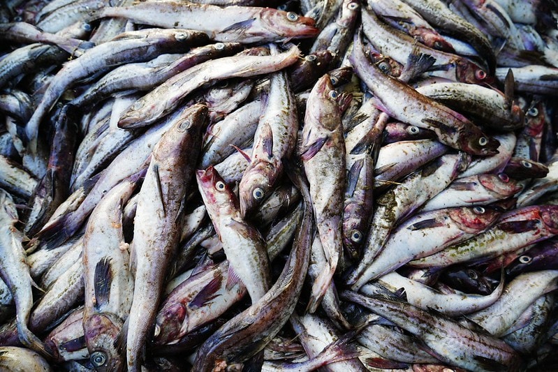 20251102-xvmjc 20251102-xvmjc