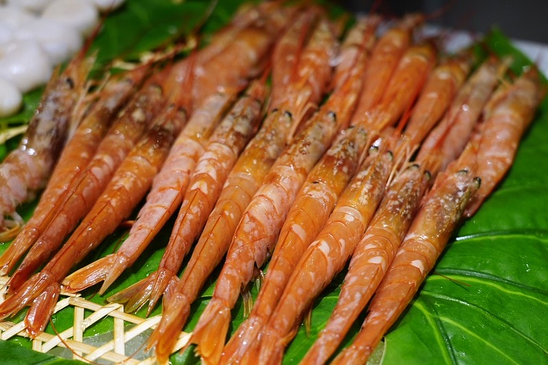 20251102-kp1hd 20251102-kp1hd