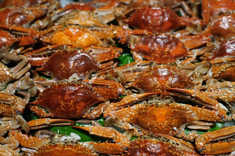 20251102-lzssx 20251102-lzssx