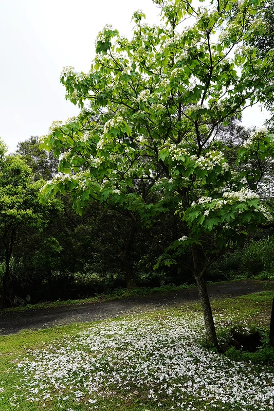 20251102-08p0o 20251102-08p0o