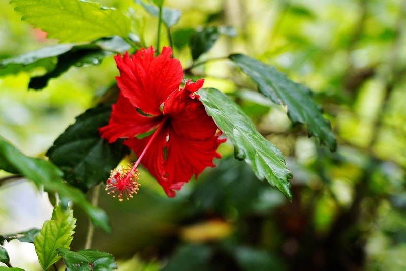 20251102-184yz 20251102-184yz