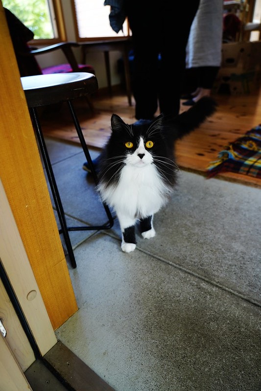 20251102-383xx 20251102-383xx