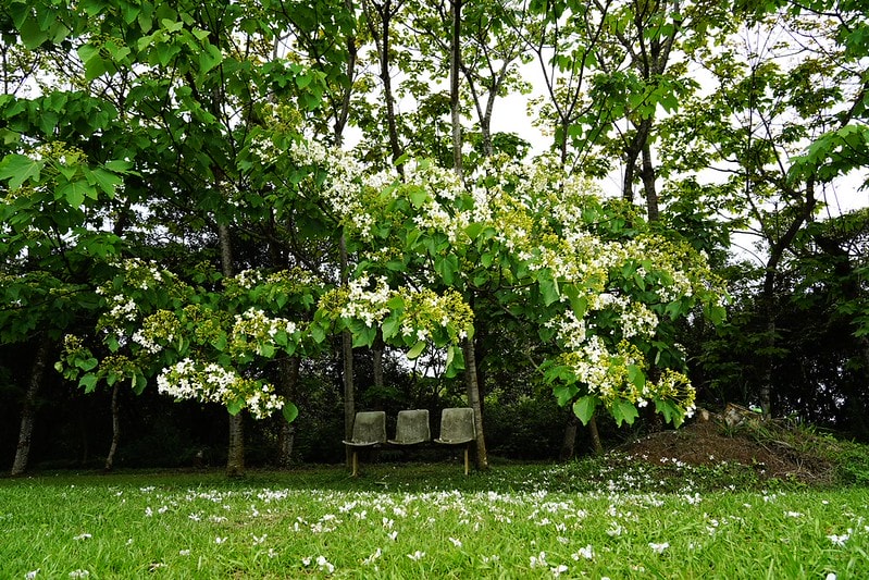 20251102-38hba 20251102-38hba