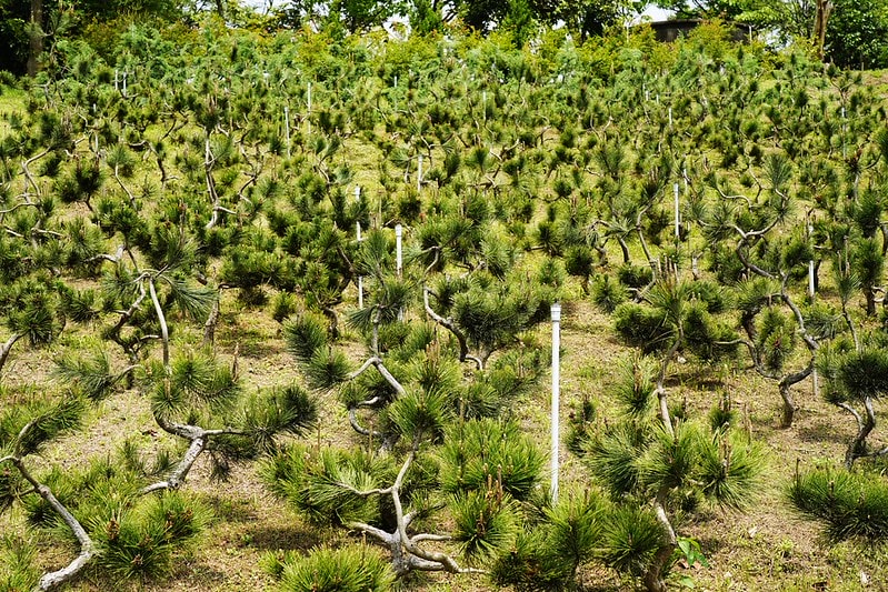 20251102-3yevg 20251102-3yevg