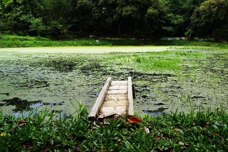 20251102-5txdk 20251102-5txdk