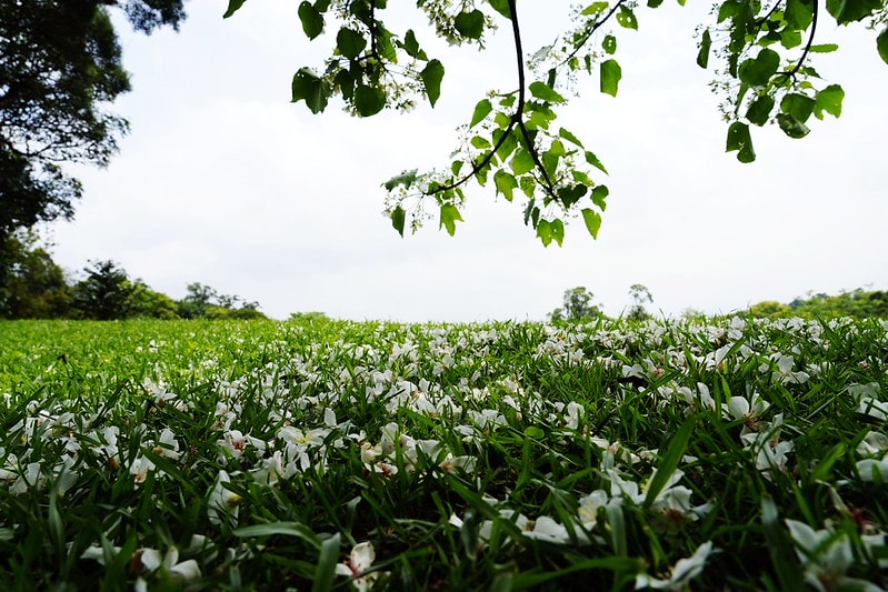 20251102-5z3pc 20251102-5z3pc