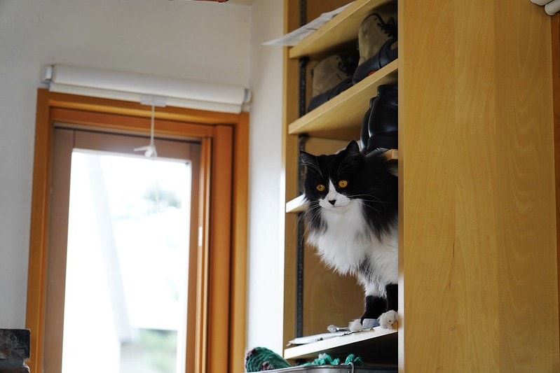 20251102-6lau7 20251102-6lau7