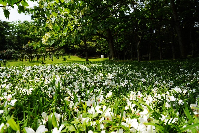 20251102-6vhup 20251102-6vhup