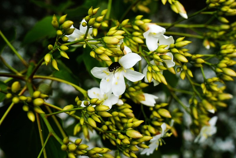 20251102-847kc 20251102-847kc