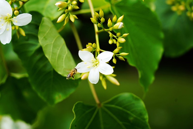 20251102-86hkl 20251102-86hkl