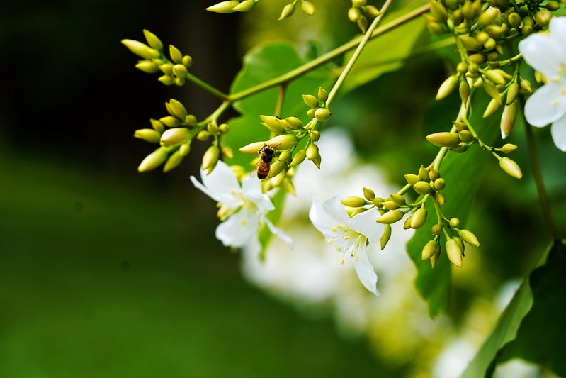 20251102-aa4bs 20251102-aa4bs