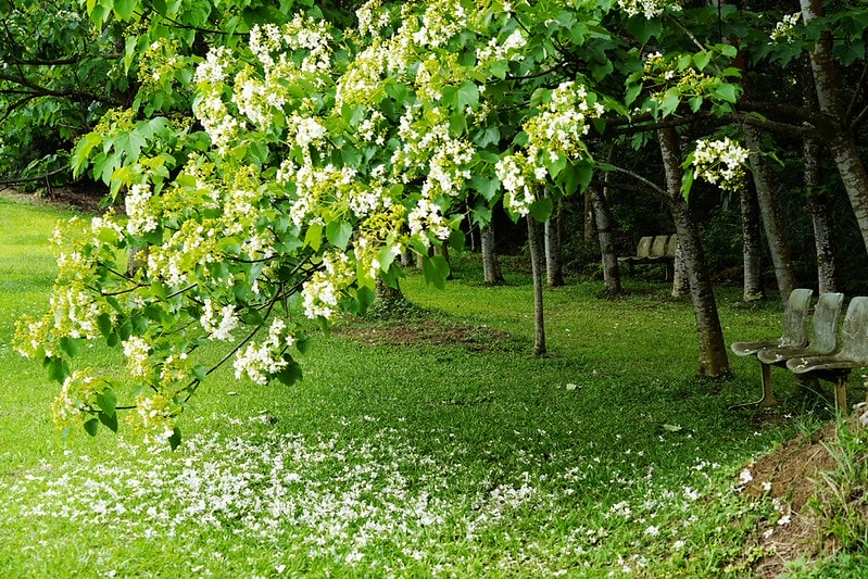 20251102-aceq2 20251102-aceq2