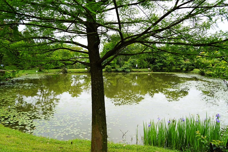 20251102-bkga8 20251102-bkga8