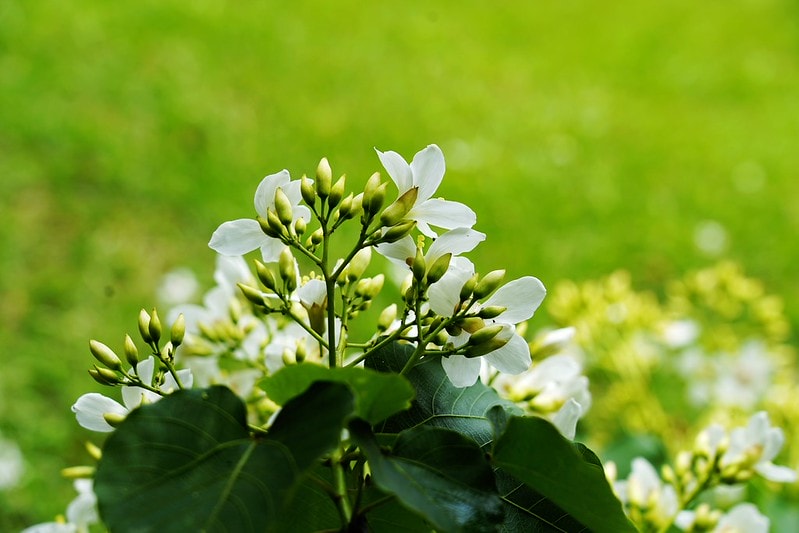 20251102-c7je7 20251102-c7je7