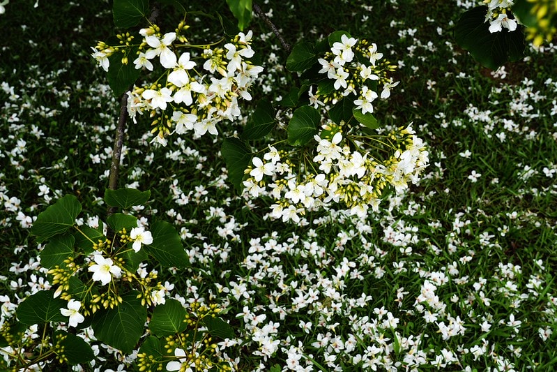 20251102-fo3tq 20251102-fo3tq