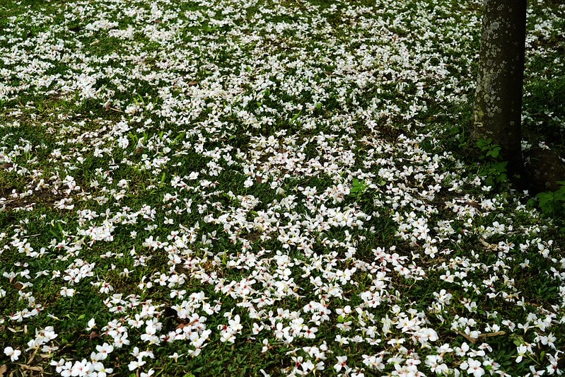 20251102-h363c 20251102-h363c