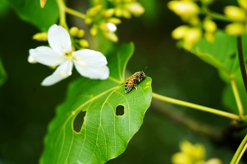 20251102-hanl9 20251102-hanl9