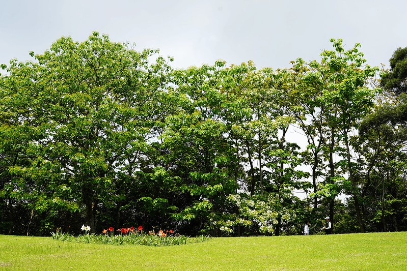 20251102-jnb56 20251102-jnb56