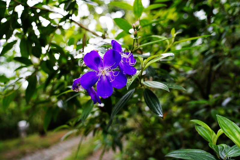 20251102-lbnpz 20251102-lbnpz