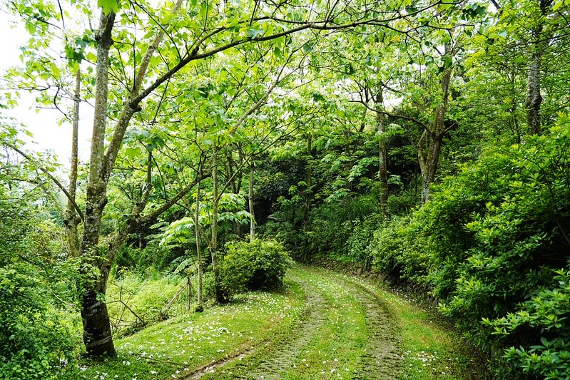 20251102-lgxrx 20251102-lgxrx