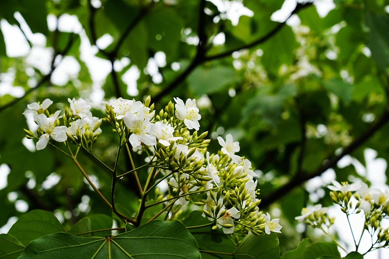 20251102-n2jbx 20251102-n2jbx