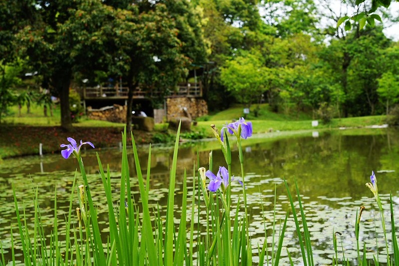 20251102-pvj9o 20251102-pvj9o