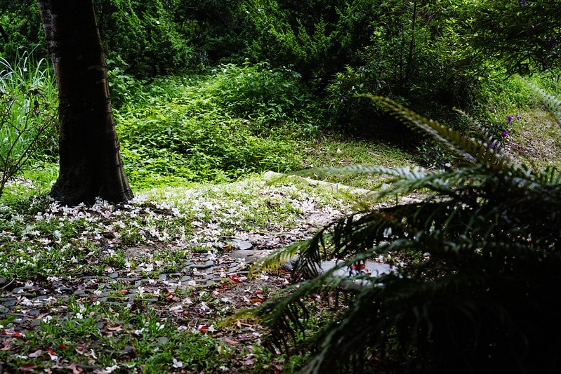 20251102-qy7mu 20251102-qy7mu