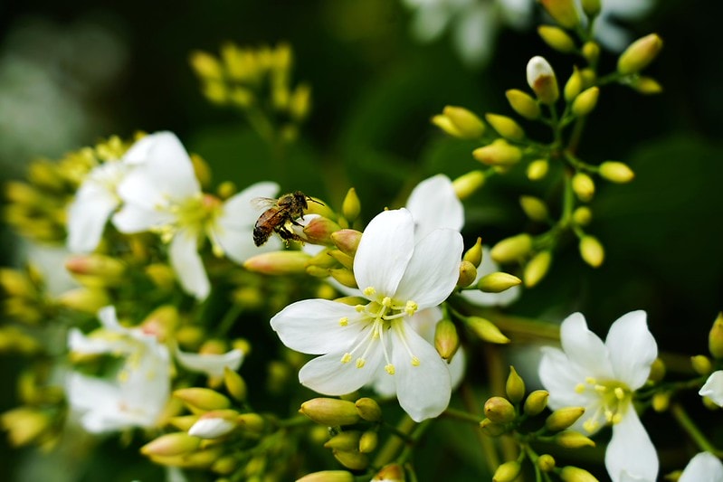 20251102-siblg 20251102-siblg