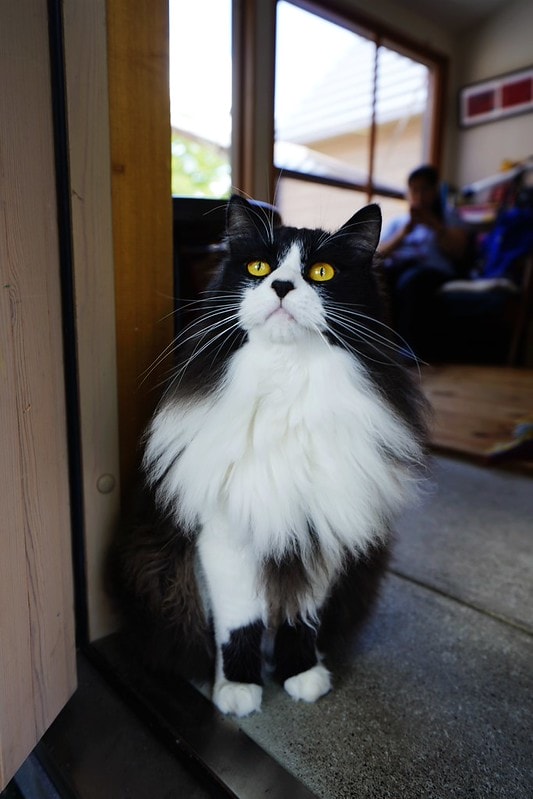 20251102-uzoq4 20251102-uzoq4