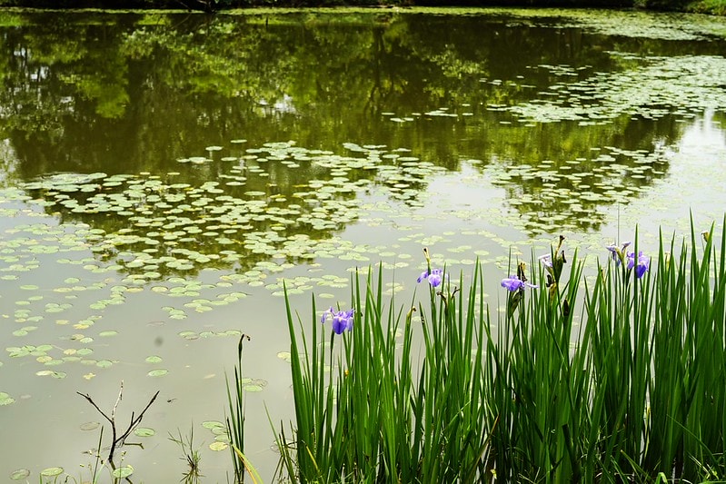 20251102-wij9s 20251102-wij9s