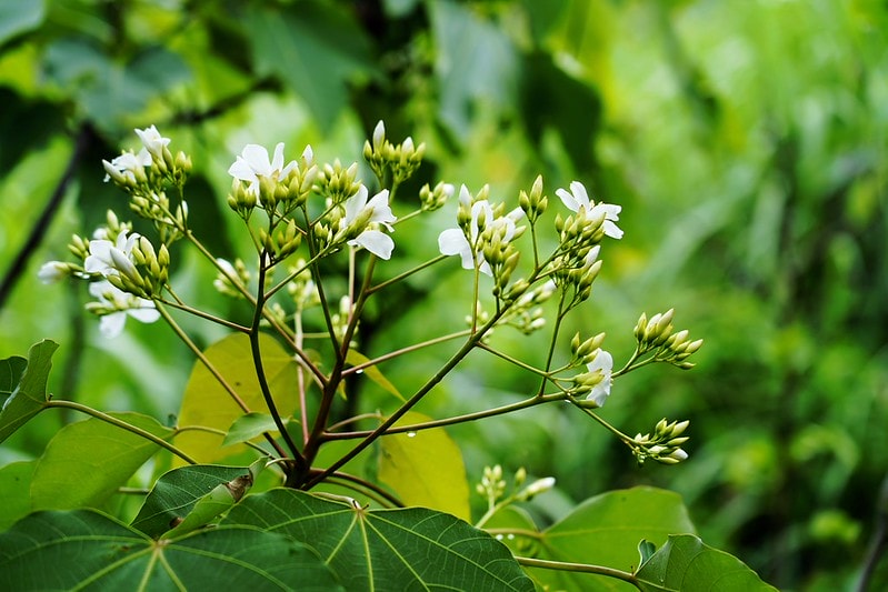 20251102-x2198 20251102-x2198