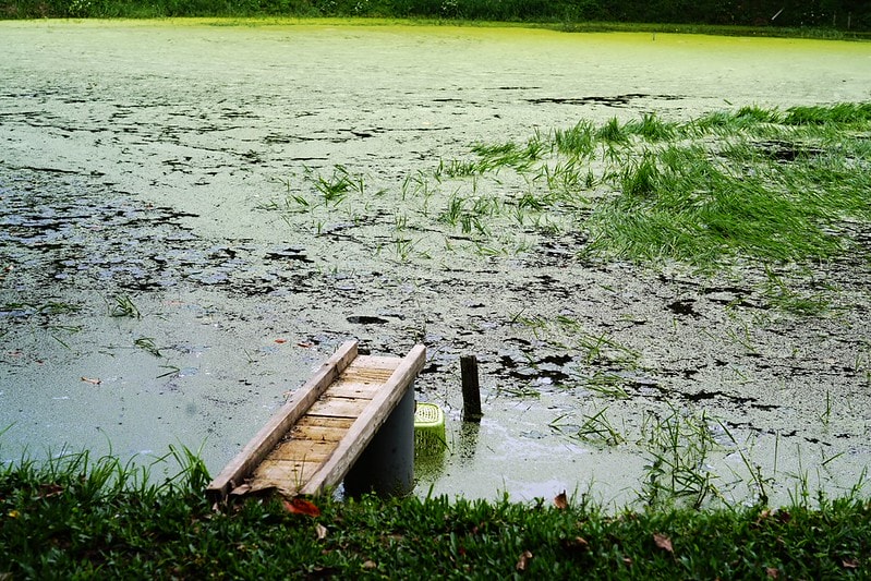 20251102-x3sjh 20251102-x3sjh