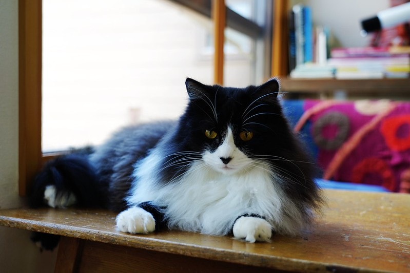 20251102-zfh4d 20251102-zfh4d