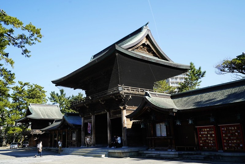 20251102-9926y 20251102-9926y