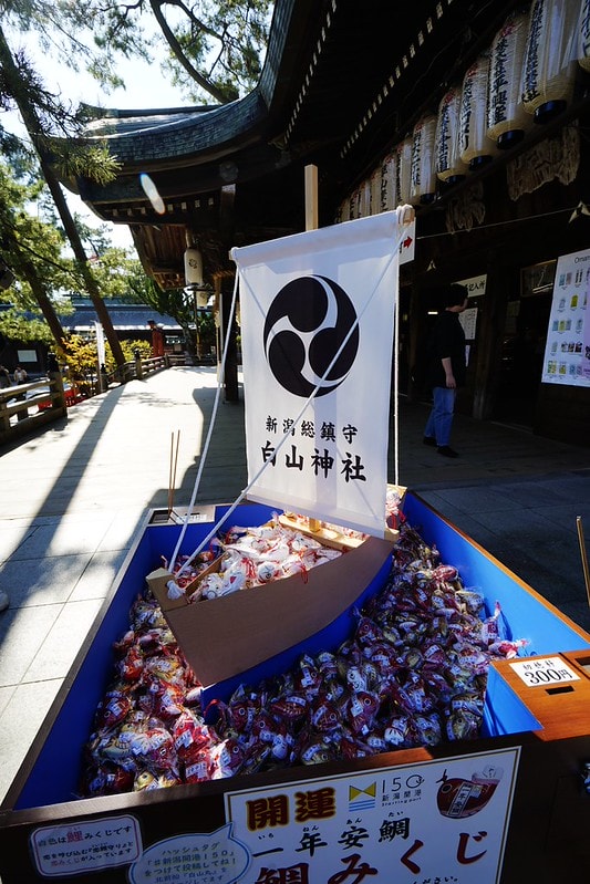 20251102-d9xu7 20251102-d9xu7