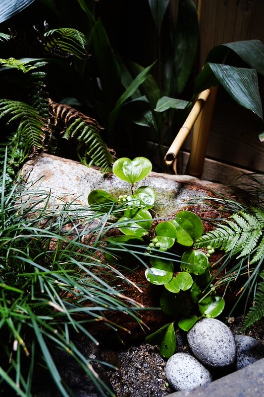 20251102-jy4g8 20251102-jy4g8