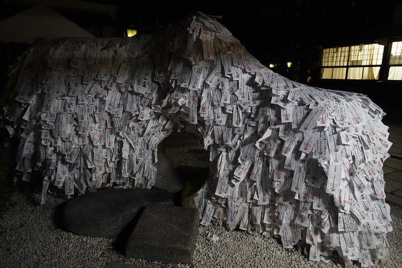 20251102-p5maw 20251102-p5maw