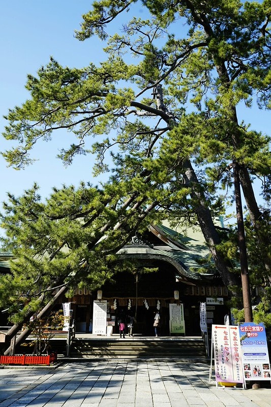 20251102-p9a7u 20251102-p9a7u