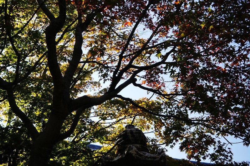 20251102-pr5qn 20251102-pr5qn