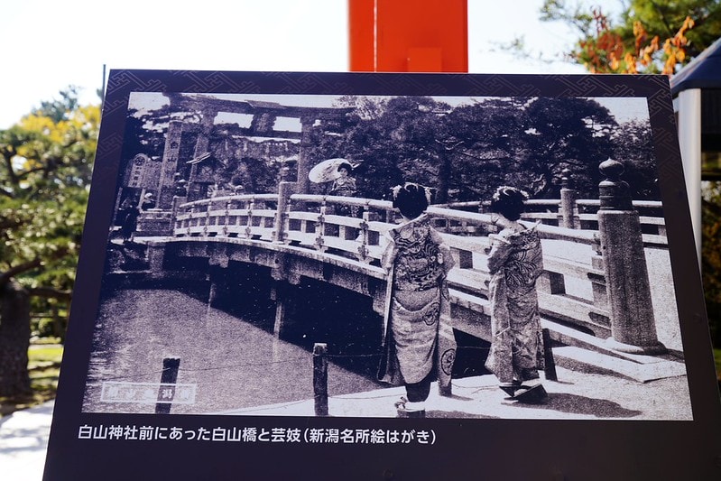 20251102-tzqsw 20251102-tzqsw