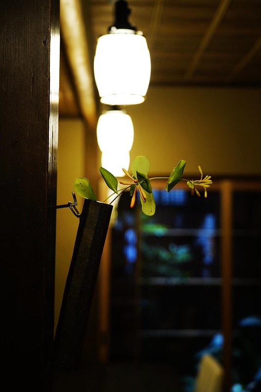 20251102-ywn1v 20251102-ywn1v