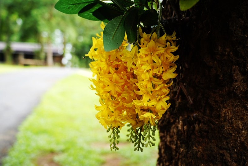 20251102-8zenb 20251102-8zenb