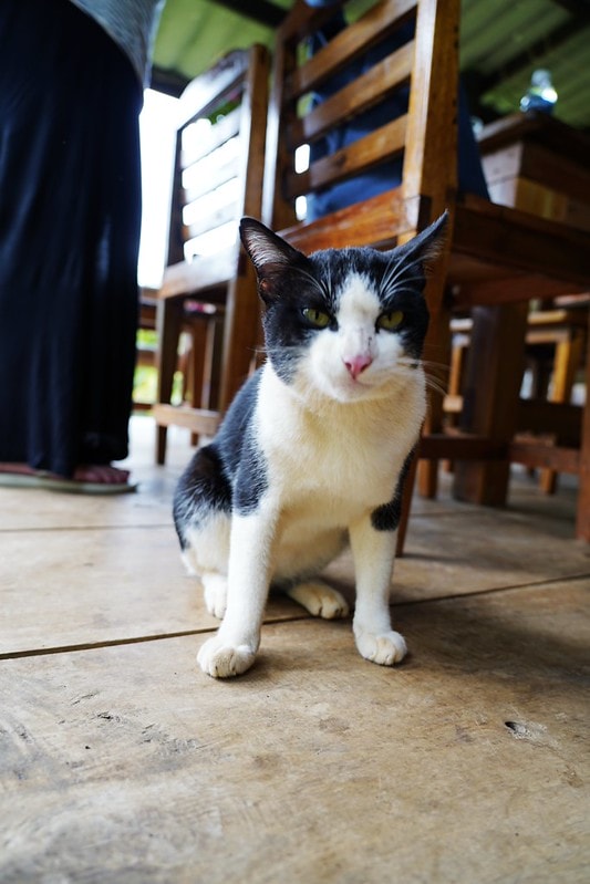 20251102-emilg 20251102-emilg