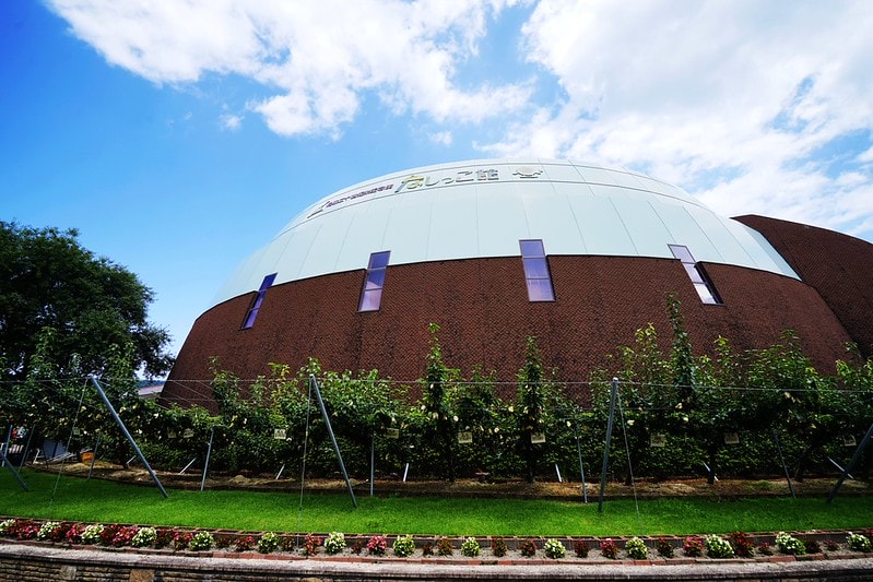 20251102-2gvmj 20251102-2gvmj