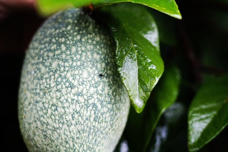 20251102-2wd4b 20251102-2wd4b