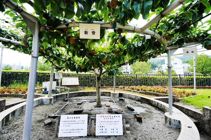 20251102-49ag8 20251102-49ag8