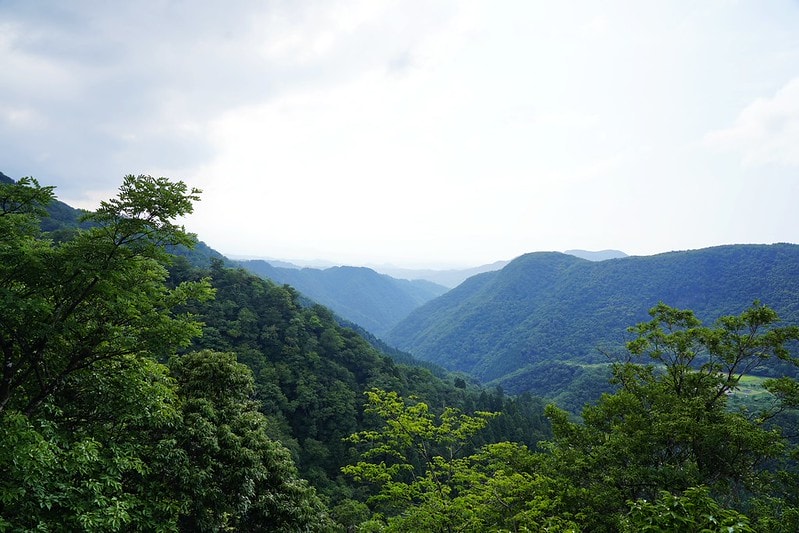 20251102-5njnv 20251102-5njnv