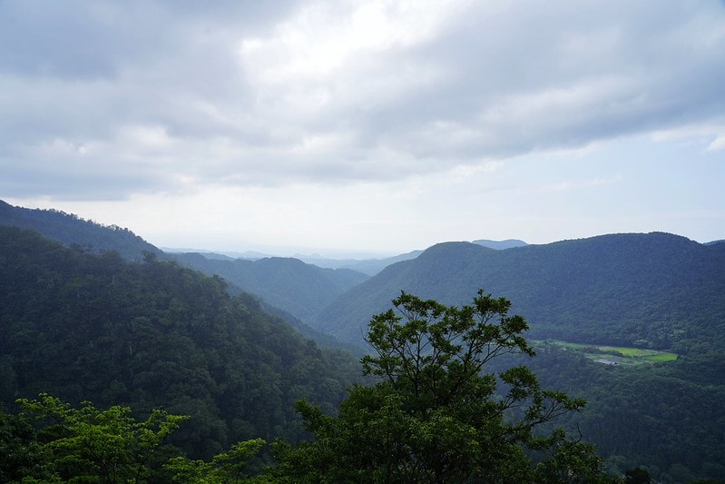 20251102-5omja 20251102-5omja