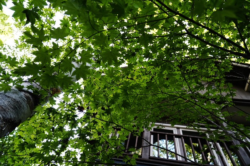 20251102-7dd39 20251102-7dd39